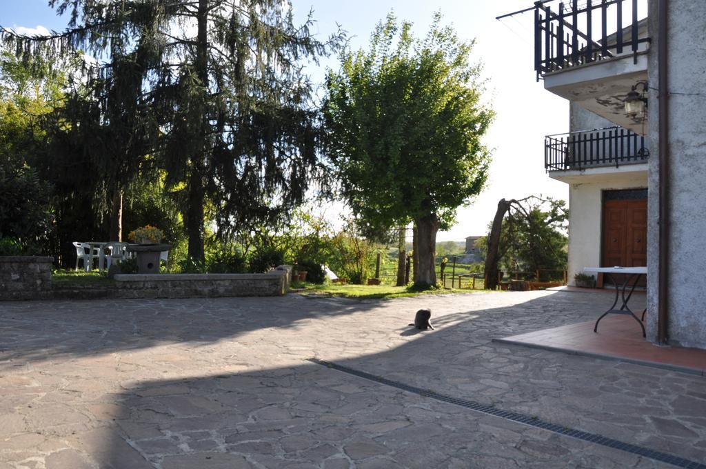 Podere Telesforo Acquapendente Zewnętrze zdjęcie